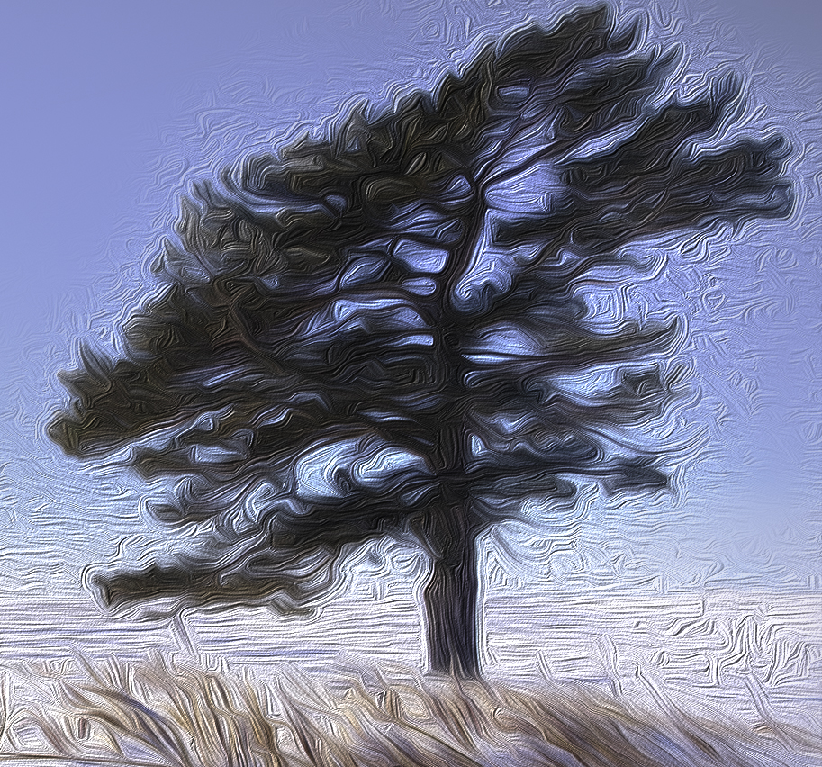 Snow cleanup in W. County