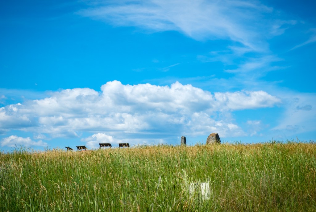 Last of a series: Homeward&nbsp;bound