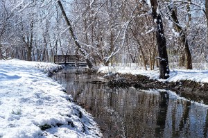 Footbridge crosses Cauble Creek along Lions Park Deerfield trail Friday morning.