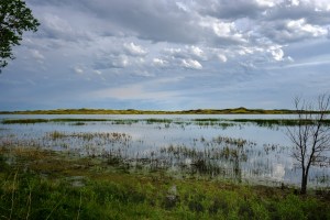 Valentine NWR landscape