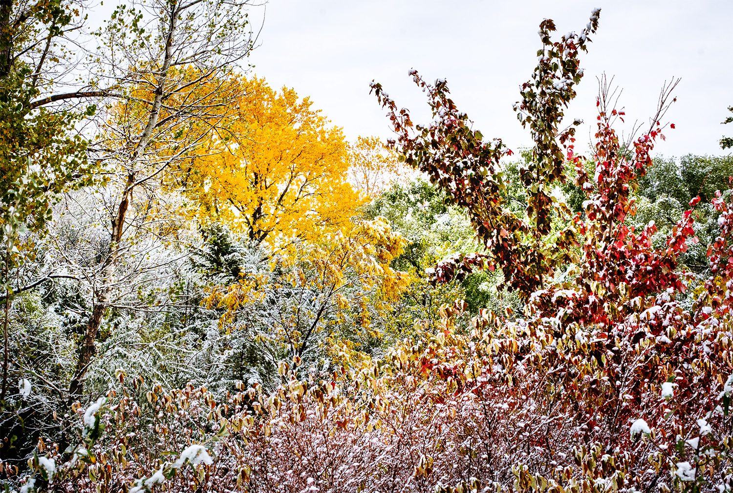 October snow at Black Elk-Neihardt Park