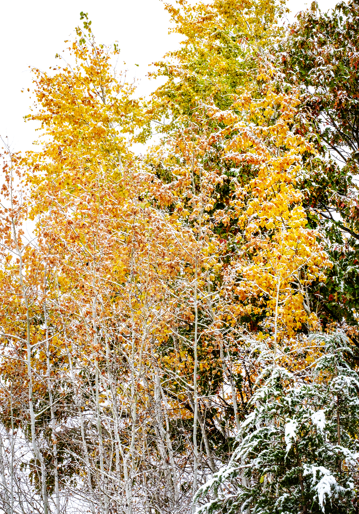 October snow at Black Elk- Neihardt Park